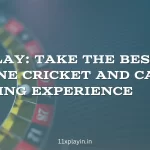 11xplay Take the Best Online Cricket and Casino Betting Experience