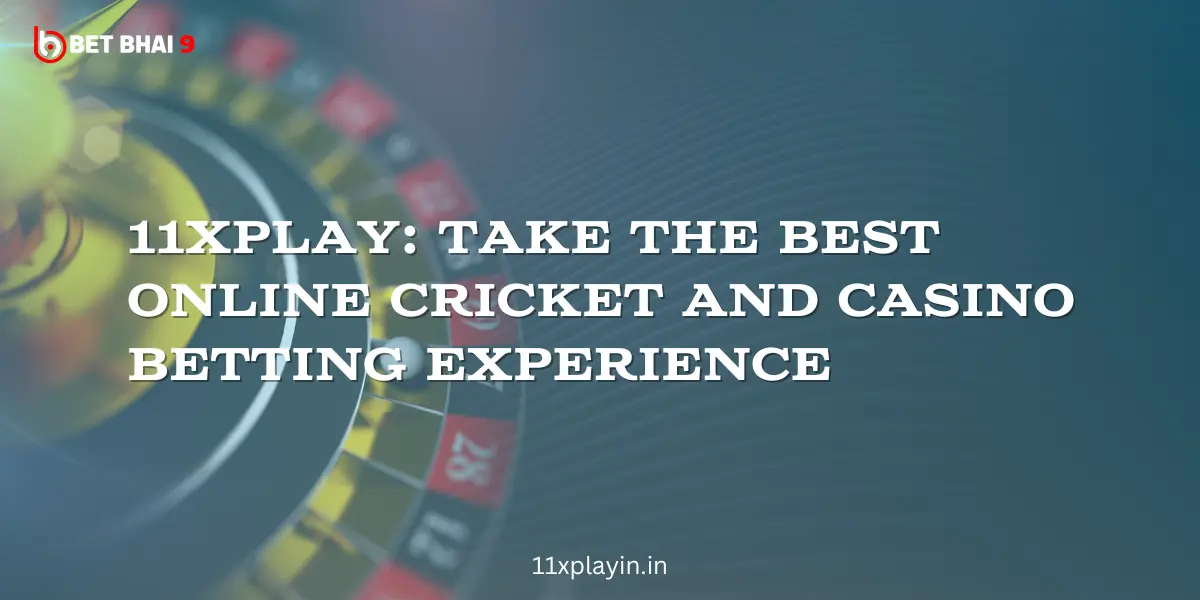 11xplay Take the Best Online Cricket and Casino Betting Experience