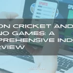 Bet on Cricket and Play Casino Games A Comprehensive Indibet Overview