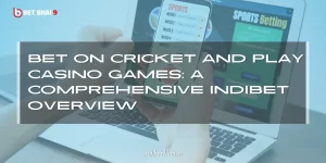 Read more about the article Bet on Cricket and Play Casino Games: A Comprehensive Indibet Overview